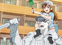 5部萌出鼻血的动漫，血小板勉强排第五，第一无人能敌瞬间萌化