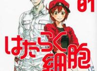 吐槽界的豪杰新八当选JUMP最强吐槽角色