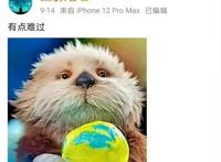 深海电影没过审告别国庆，与克苏鲁有关，国漫从业者需要避雷