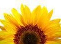 “小蜗牛”走出家门融入社会