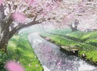 月色真美反映我们真实的年少青春