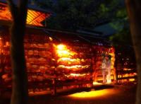 「月色真美」庙会精美壁纸，绝妙的约会告白地点！想去试试嘛