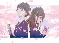 初恋看月色真美，胃疼看白色相簿，还有哪些不同类型的恋爱动漫？