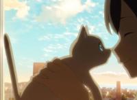 冈妈新作又来了，《想哭的我戴上了猫的面具》，吸猫也能找到老婆