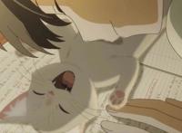 冈妈新作又来了，《想哭的我戴上了猫的面具》，吸猫也能找到老婆