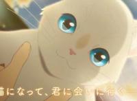 想哭的我带上了猫的面具：当猫真的比当人更舒服吗？