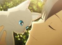 想哭的我带上了猫的面具：当猫真的比当人更舒服吗？