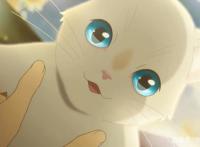 《想哭的我戴上猫的面具》等价交换，能得到你想要的么？