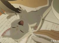 《想哭的我戴上猫的面具》等价交换，能得到你想要的么？