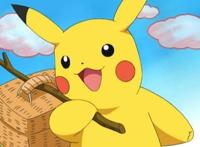 皮卡丘的“超豪华后援会”，果然，没人可以拒绝黄皮电耗子