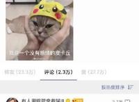 超梦逆袭电影海报没有超梦，宝可梦邀请许魏洲推广惹争议