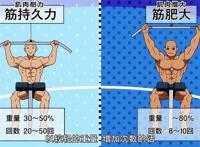 快来抄作业，“健身少女”的动漫笔记在此，健身必备