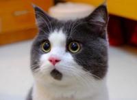 这个7月动画有你才精彩，感谢陪伴完结撒花，健身一定会常伴我