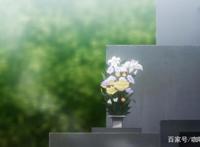 《MIX》4：时隔20年打入都大赛，第一场比赛正式开始，王牌对王牌