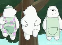 2020年还单身的你，可以看一下这只白熊是如何成为“国民老公”的