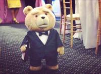 动漫界最出名的八只小熊，除了熊大熊二，你还认识几只呢？