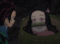 剧情无脑且画质粗糙的《贤者之孙》，为何能站到四月番的顶端