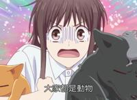 四月新番中的动物系主角，毛绒绒的耳朵和尾巴，都没有河童吸引人