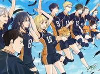 日漫励志番已走歪，1米5矮子也能当主角，欺负观众不懂常识