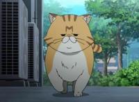 男子汉之间真正的战斗，JUMP王道热血番《火之丸相扑》