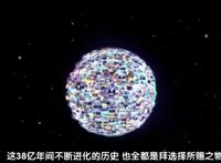 那些明明是轻松却总要先一本正经的“普及科学知识”的动漫