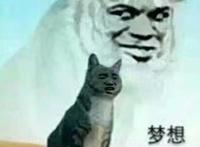 在《恋爱禁止的世界》中有人为你安排对象你愿意吗？