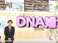 真实版《恋爱禁止的世界》，日本用DNA配对技术帮年轻人找对象