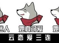 新番开播，老婆已换，“本子王”亚丝娜该退位了！