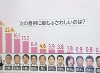 日本宅男の怒：二次元美少女不让看？那就选个漫画家当议员！