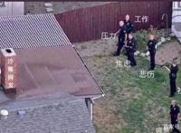 今年双11，我们能买到怎样的“二次元沙雕”？