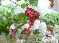 十一嗨玩青岛！市文旅局推荐这些路线，赶紧收藏