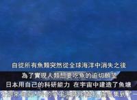 开局35秒的介绍就已经让观众感受到了一股降智的力量，烂片预订？