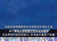 延续第一集的降智操作，第二集再现高能，这部动画没得救了