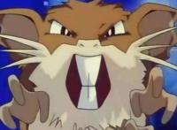 《宝可梦》大概是蛮干换命的经典代表，冷门却很有趣的拉达！