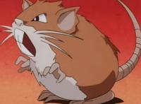 《宝可梦》大概是蛮干换命的经典代表，冷门却很有趣的拉达！