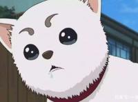 神奇动物在二次元！动漫中可爱又强大的“宠物”盘点