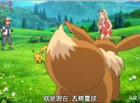 神奇宝贝：知晓超级进化秘密的存在，剧场版我们的故事起航！