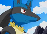 精灵宝可梦：动画中出现的6只强大路卡利欧，最后一只活了千年