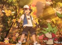 精灵宝可梦：萨戮德养大的可可，演绎别样的父子情深，催人泪下