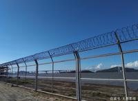 写给电影的一封情书