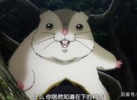 《Overlord不死者之王》魔物四天王，一个最会作死一个萌化少女心