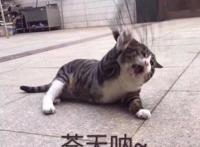 躲在墙角画圈圈的自媒体人，究竟是谁说自媒体简单