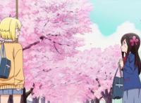 校园小清新4月新番盘点，川柳少女有恋爱预感，孤僻少女要交友