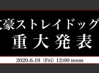 文豪野犬官推发布消息，6月19日中午将会有何惊喜？