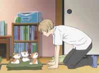 同样是灵异类动画，《忧郁的物怪庵》比《夏目友人帐》更加有趣！