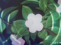 广主席又开始念诗了，京都十月新番《弦音-风舞高中弓道部》