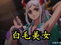 海贼王992集：白毛大和露真面，女儿身男子心，言语之中暴露无知