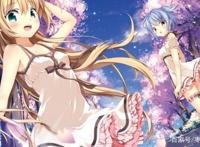 4本二次元爽文！攻入魔王老巢，终结燃烧军团，老娘乃骑士小姐！