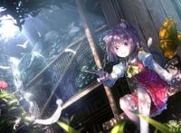 为何国内的二次元爱好者，却总被不理解？