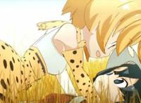 日本点评2017全网动漫！前五让你想不到